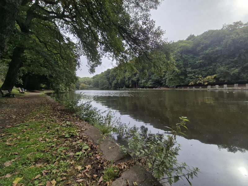 Datei:Hammerteich in Witten.jpg